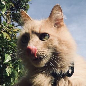 Meet your Posher, Ruby